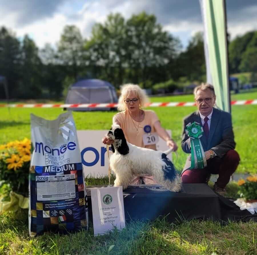 Bester Jüngstenhund- SRA 2023