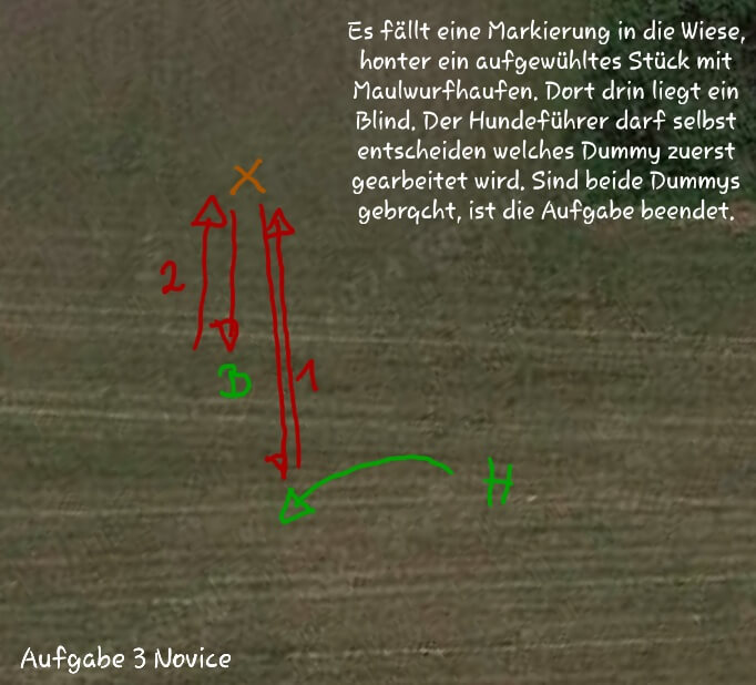 Aufgabe 03 Novice