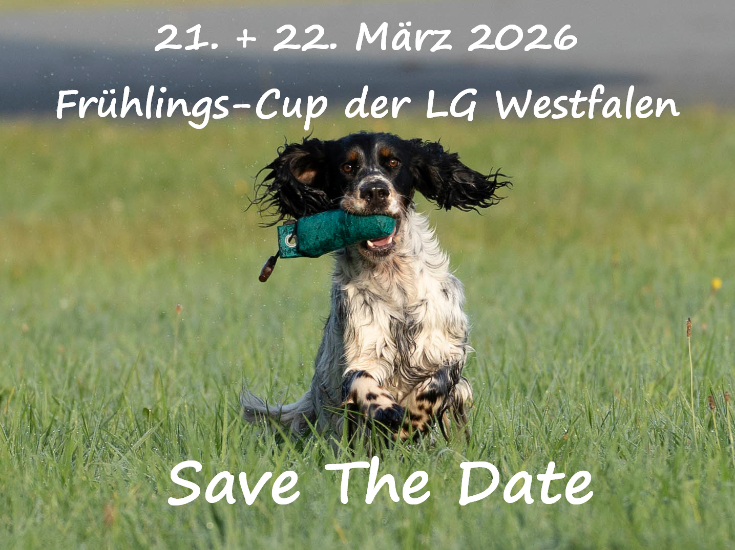 Save the Date Frühlingscup Westfalen März 2026